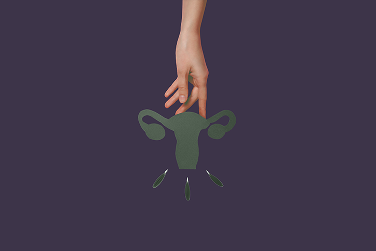 Dein Frauenarzttermin