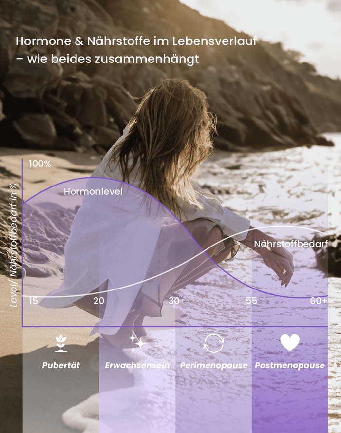 Kurve, die den Hormon Verlauf und Nährstoffbedarf zeigt